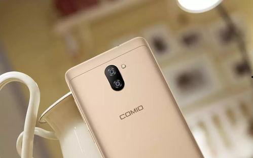 欧a美69,揭秘69号文件的神秘面纱